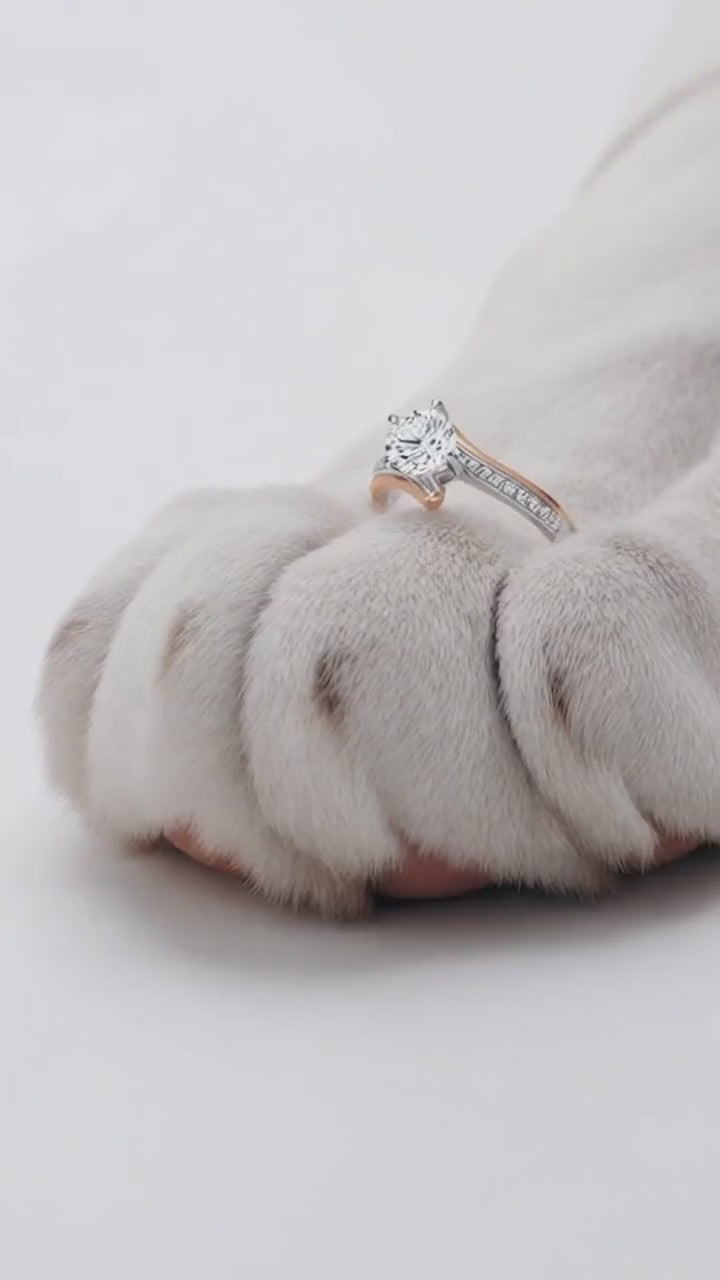 Nova Éclat du Tigre R401